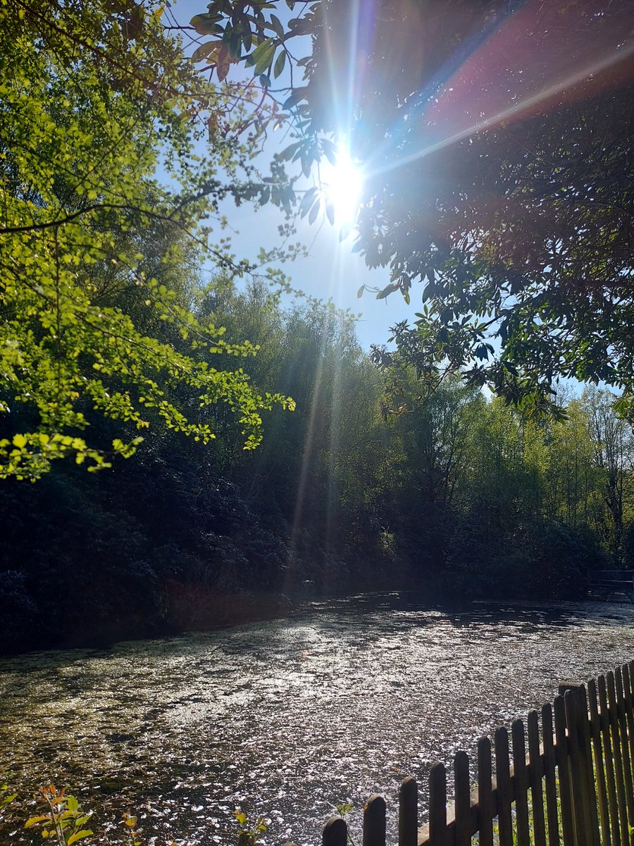 DrKhan_do's tweet image. 📸 from my day  - My walk #Breaktime 
✍️#retreat