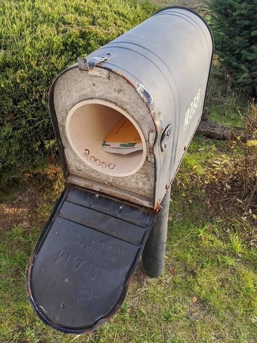 Sacred Cow Shipyards tweet media