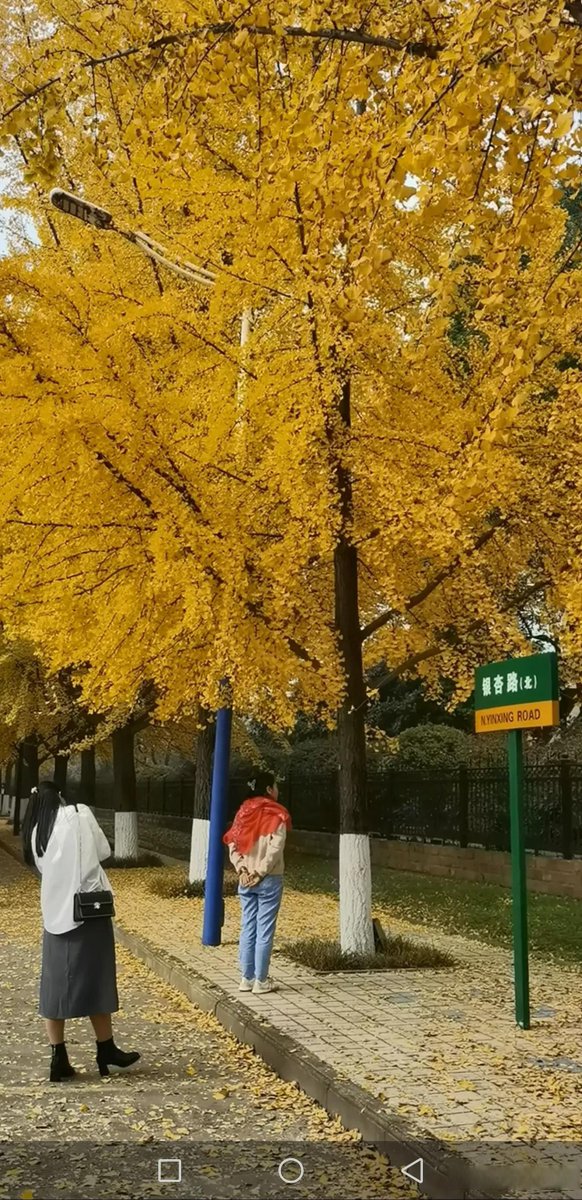 Егор Петров tweet media