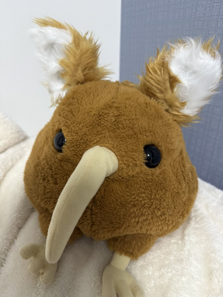 那由多ゆな🦈💤 tweet media