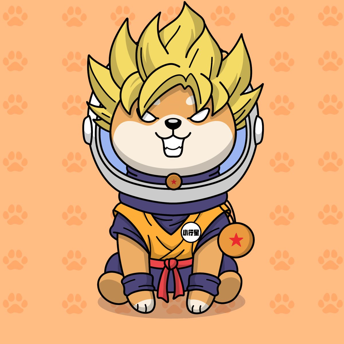 Asteroid Shiba tweet media