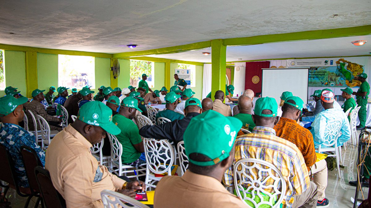 PNUD Guinée tweet media