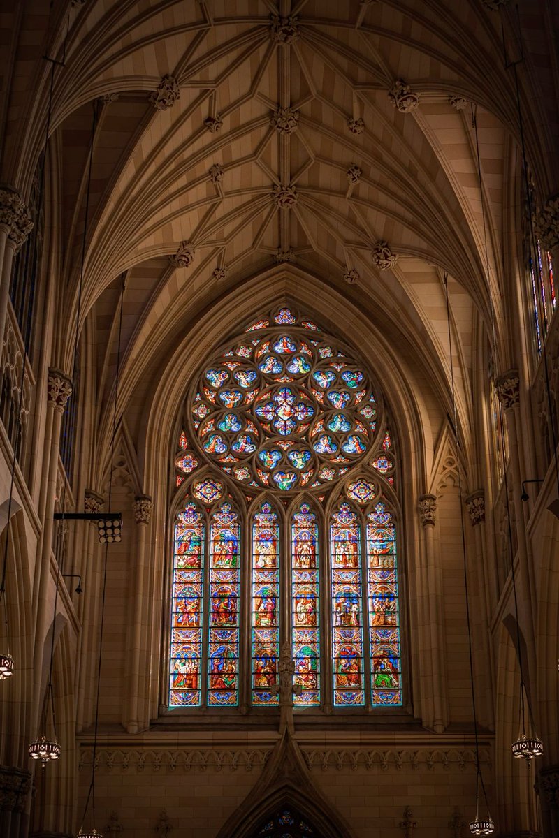 Gothic Churches tweet media