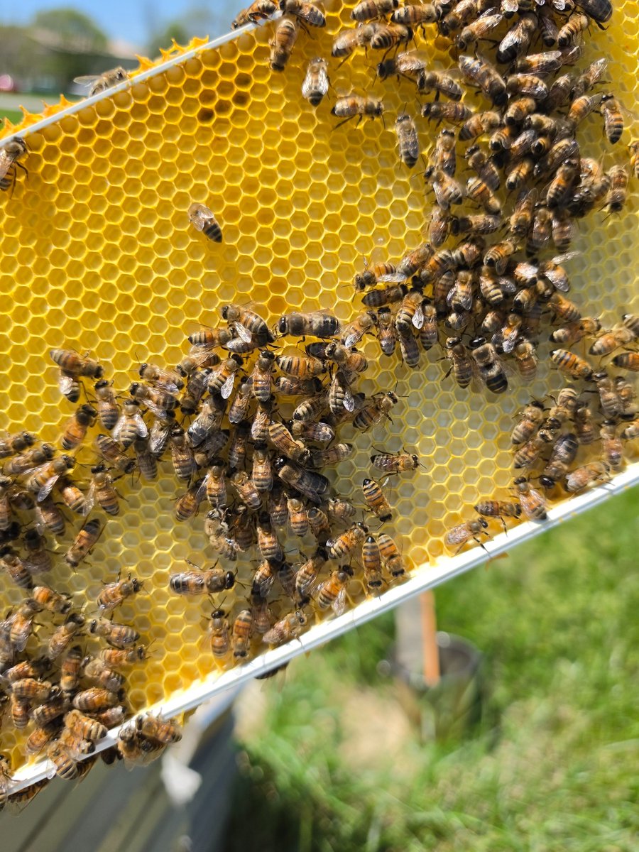 geraldineamable's tweet image. Happy #EarthDay! 🌎🌿
Love seeing people excited to get their gardens going! 💖