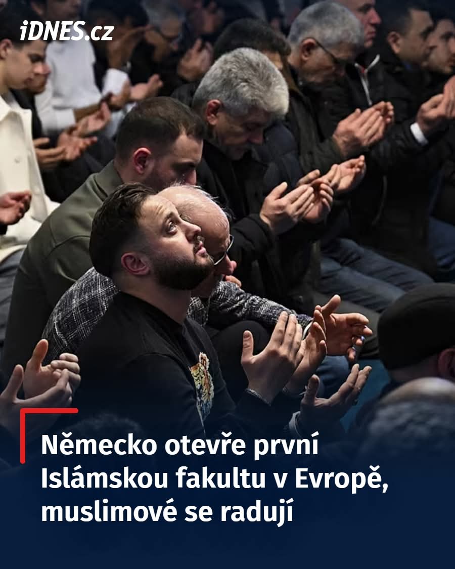 dezolêsoldier™ tweet media
