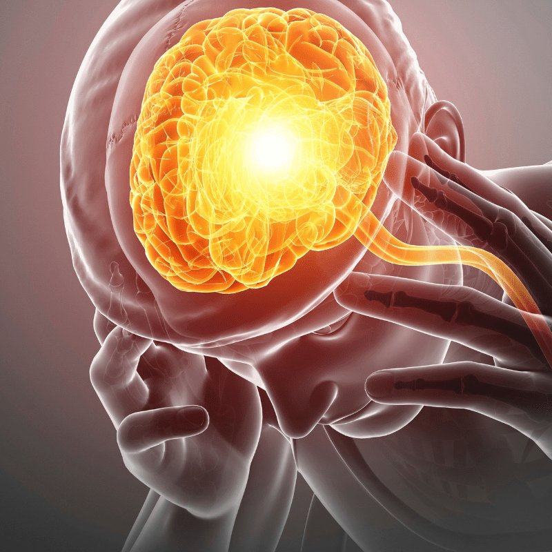 🚨: Scientists claim mental illness can come from your immune system attacking your own brain, not just “psychological causes” we usually blame.