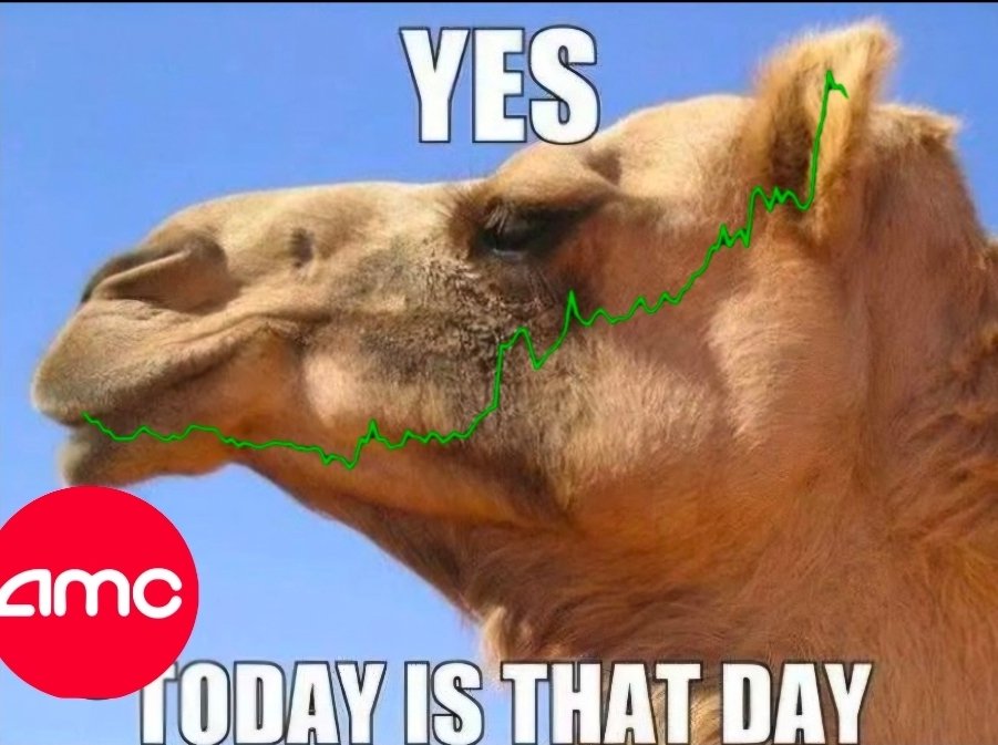 Mr nice guy tweet media