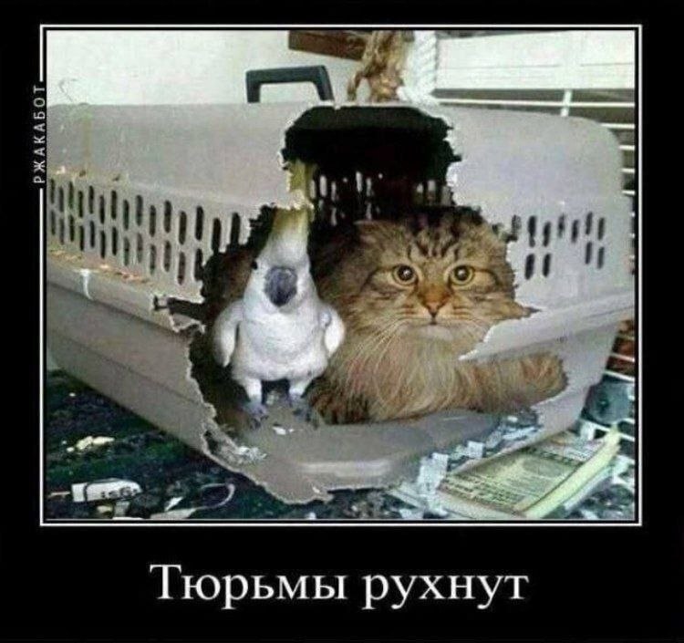 Nickro (@nickro666) on Twitter photo 