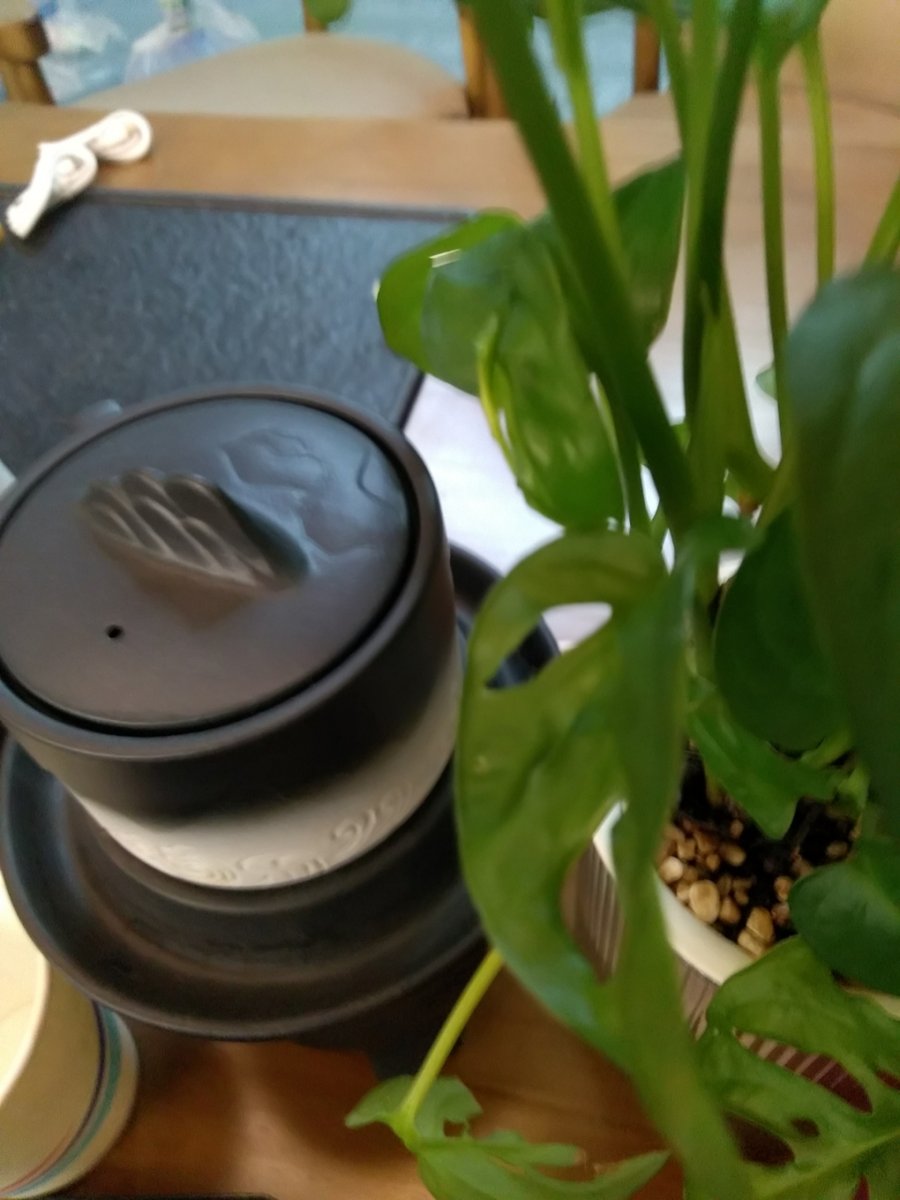 MAILLOT-CHESNEL Clar tweet media