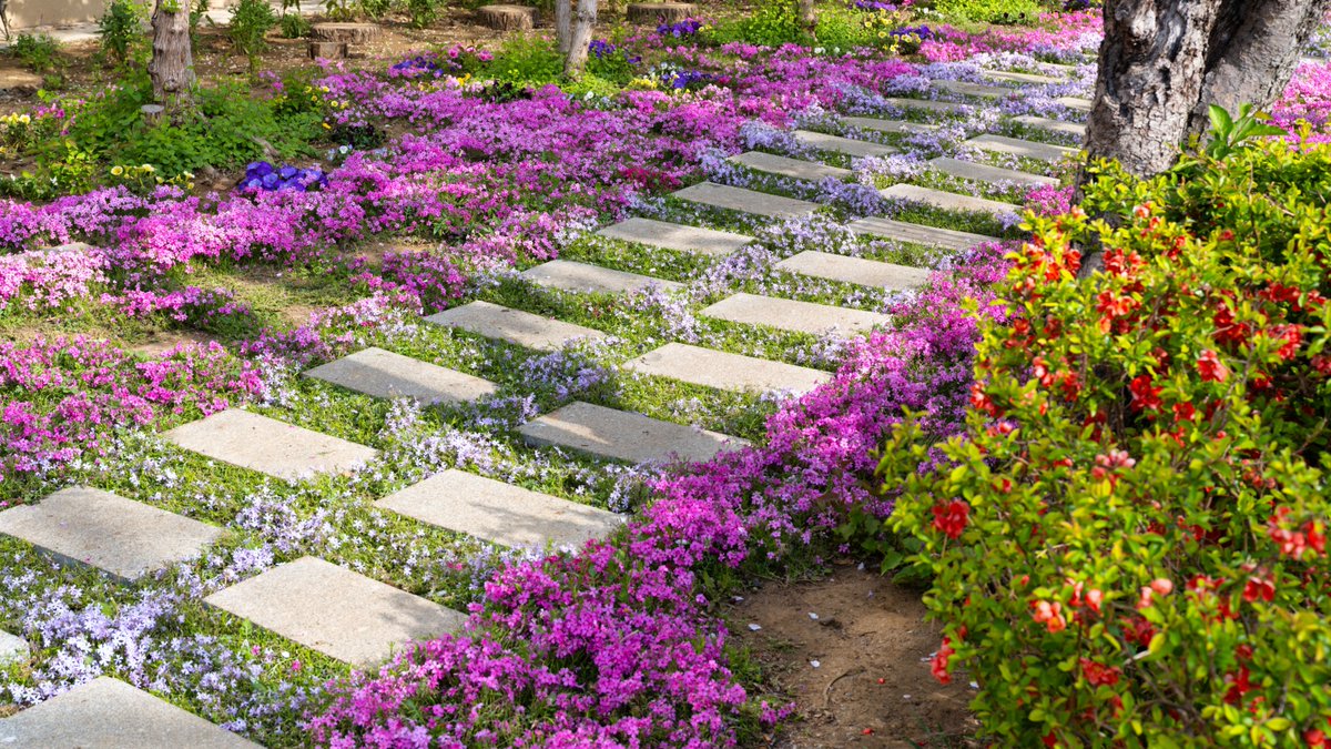 Give A Shit About Nature tweet media