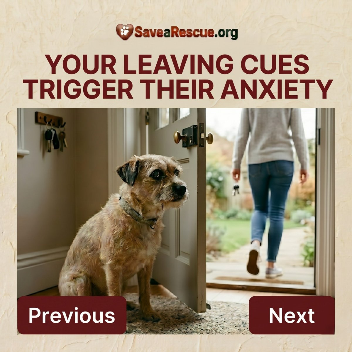 SaveARescue's tweet image. Dog separation anxiety is fear—not disobedience. Learn how to manage it with training, routine &amp;amp; care 🐾❤️

#DogSeparationAnxiety #DogCare #DogTraining #PetCare #RescueDogs