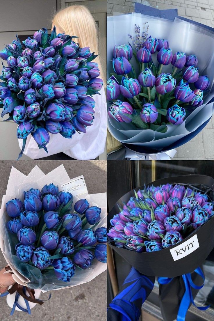 𝓣𝓱𝓮𝓑𝓵𝓸𝓼𝓼𝓸𝓶𝓢𝓽𝓾𝓭𝓲𝓸 tweet media