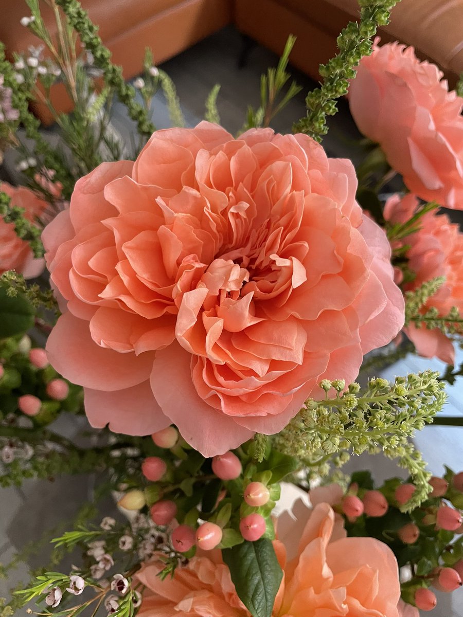 Ivette Arellano 🧘🏼‍♀️ tweet media