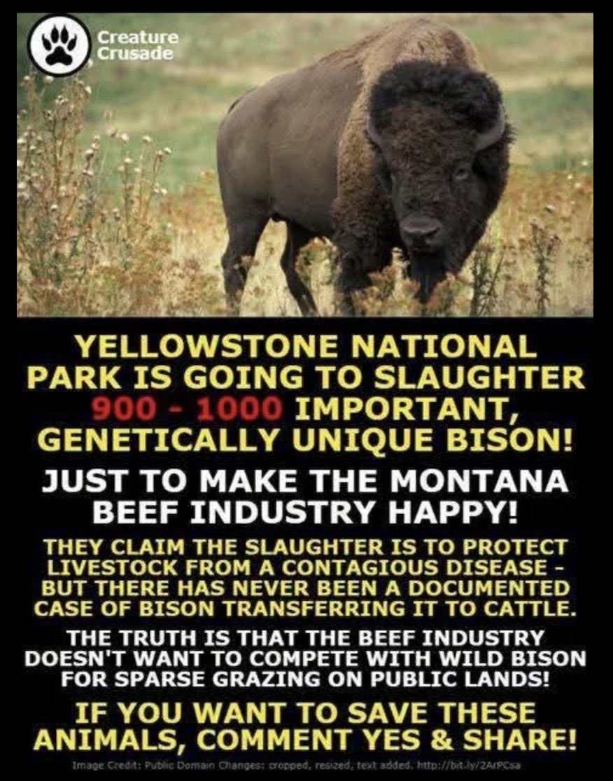 Just saying tweet media
