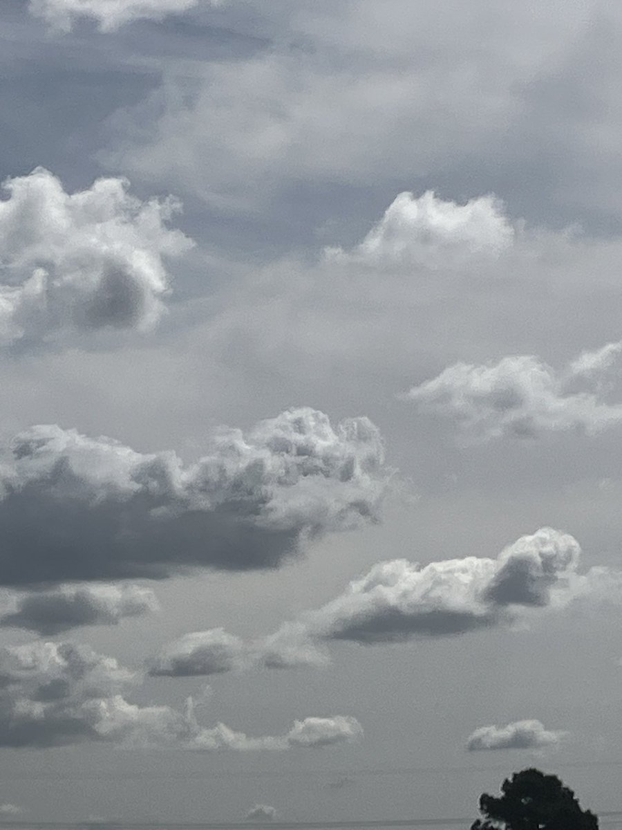 KoroshErfani's tweet photo. Weird weather in LA: a combination of clouds and spread poisons. 
Welcome to the Abrahamic capitalist manipulated air with semi-oxygen to breathe. https://t.co/6iOj8D3HXQ