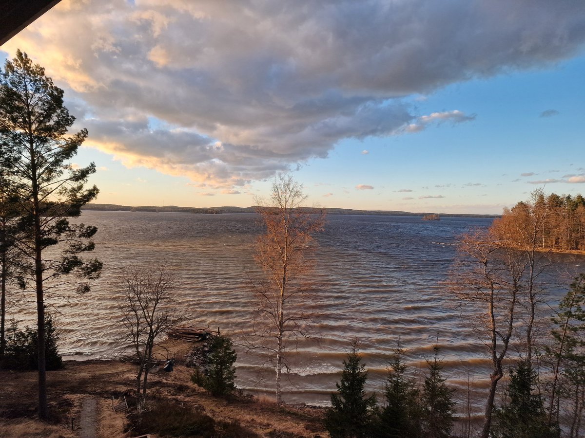 Kaisa Liljamaa tweet media