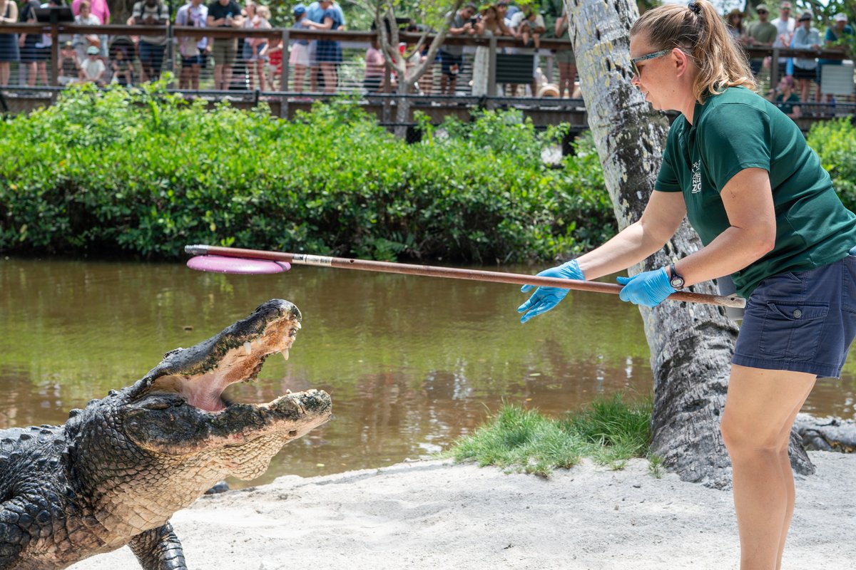 Naples Zoo tweet media