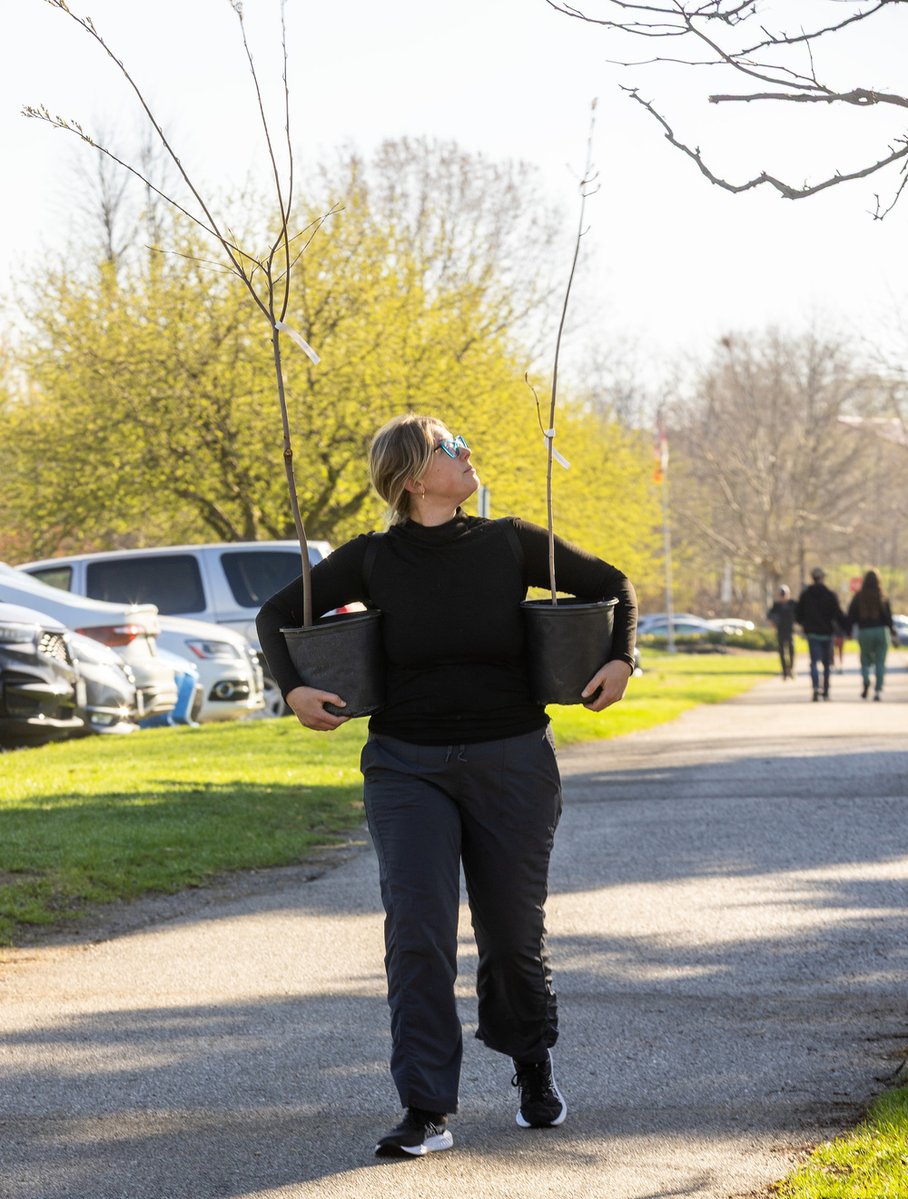 LFPress's tweet image. PHOTOS: The City of London celebrated Earth Day by giving away more than 2,000 trees to those who stopped by to grab them at the Carling Heights Optimist Community Centre. tinyurl.com/53zfn32w #ldnont