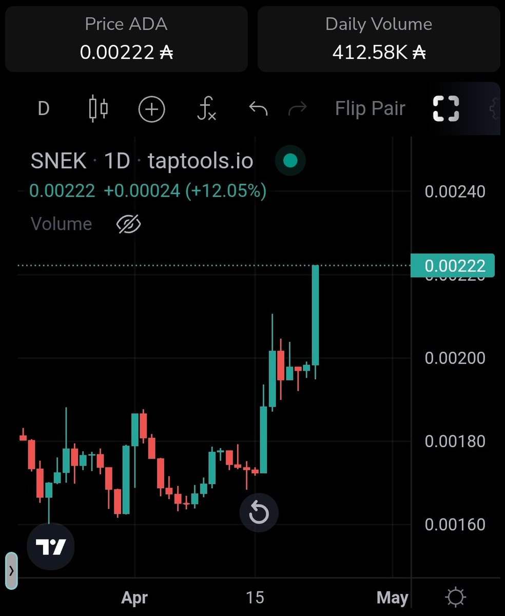 Sssebi🦁 tweet media