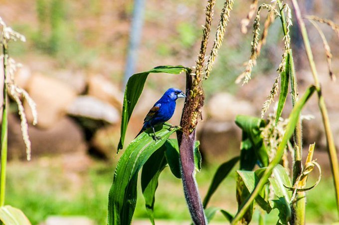 Iram Ortega 👁 tweet media