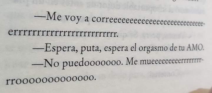 ❅ hae quokka VIO A SKZ tweet media