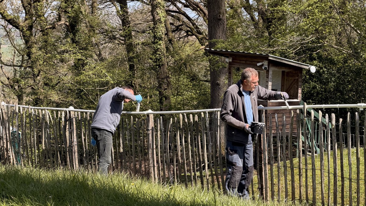 Shelsley Walsh tweet media