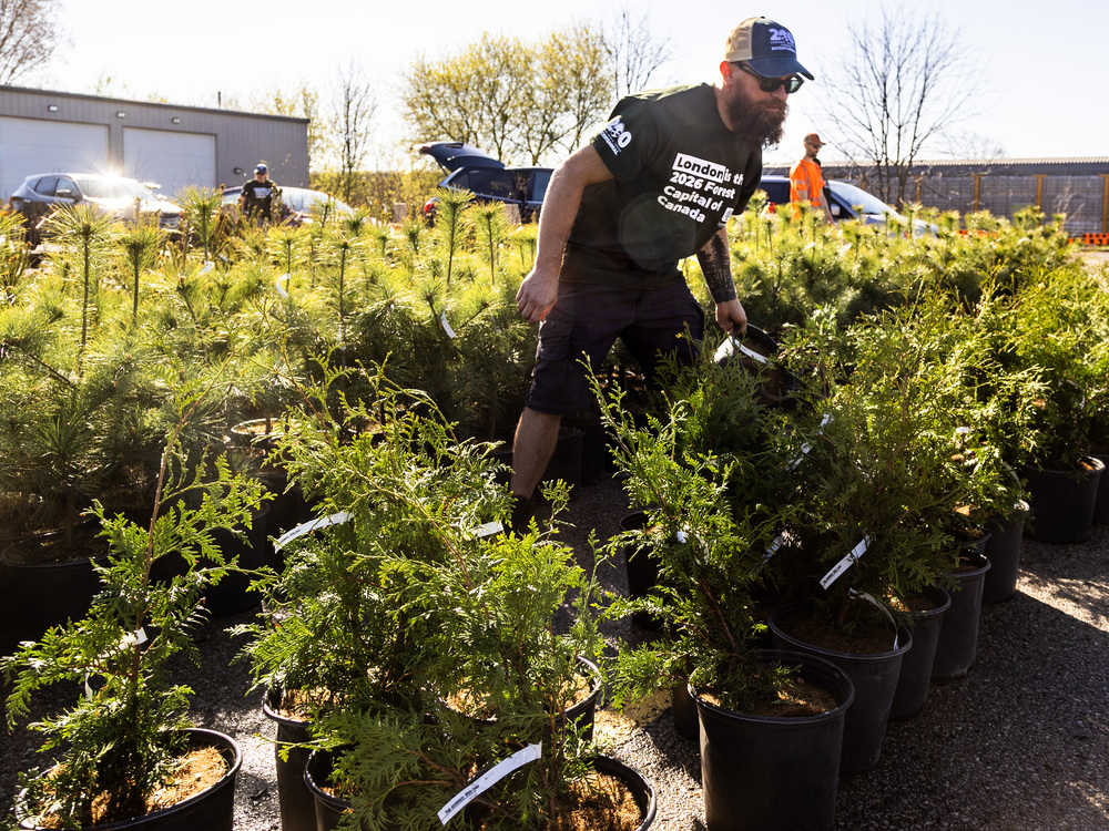 LFPress's tweet image. PHOTOS: The City of London celebrated Earth Day by giving away more than 2,000 trees to those who stopped by to grab them at the Carling Heights Optimist Community Centre. tinyurl.com/53zfn32w #ldnont