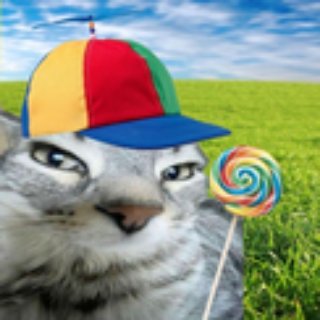 Pango 💚🐻 tweet media