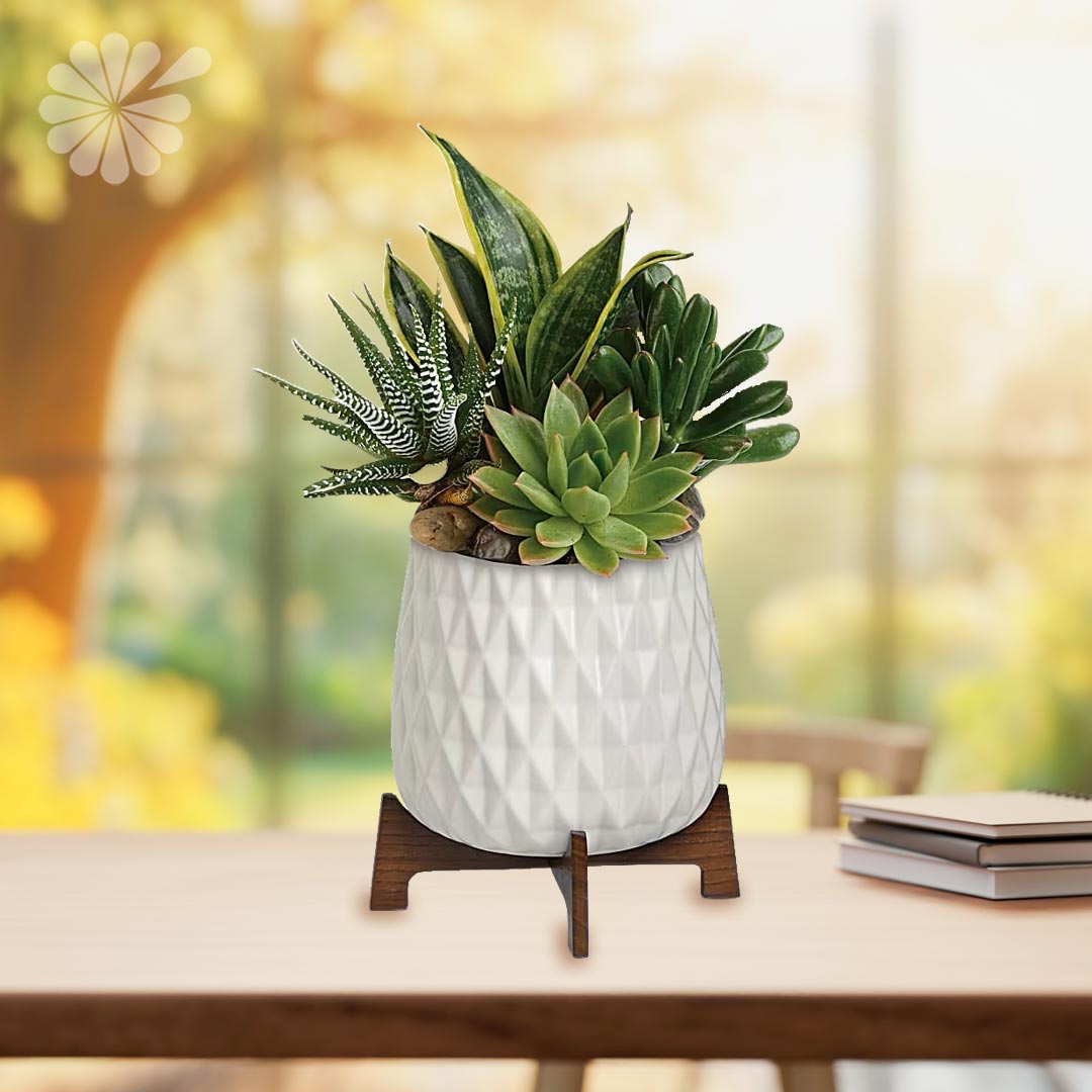 GeorgeThomasFlorist tweet media