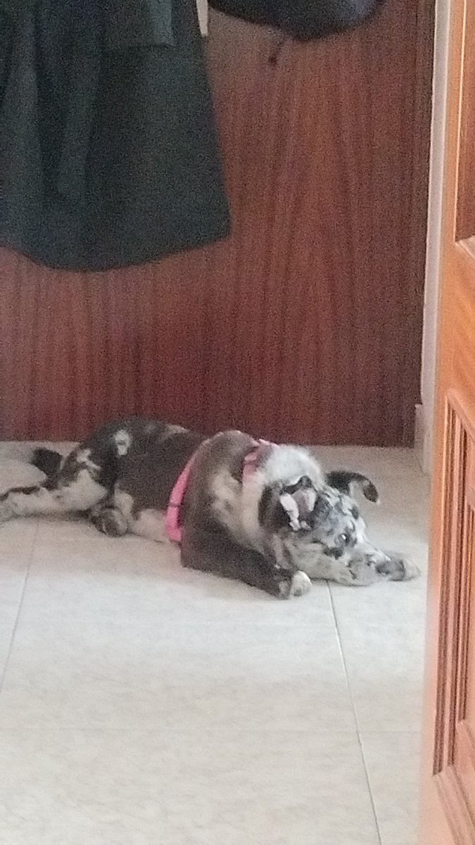 Kaelith Vorr tweet media