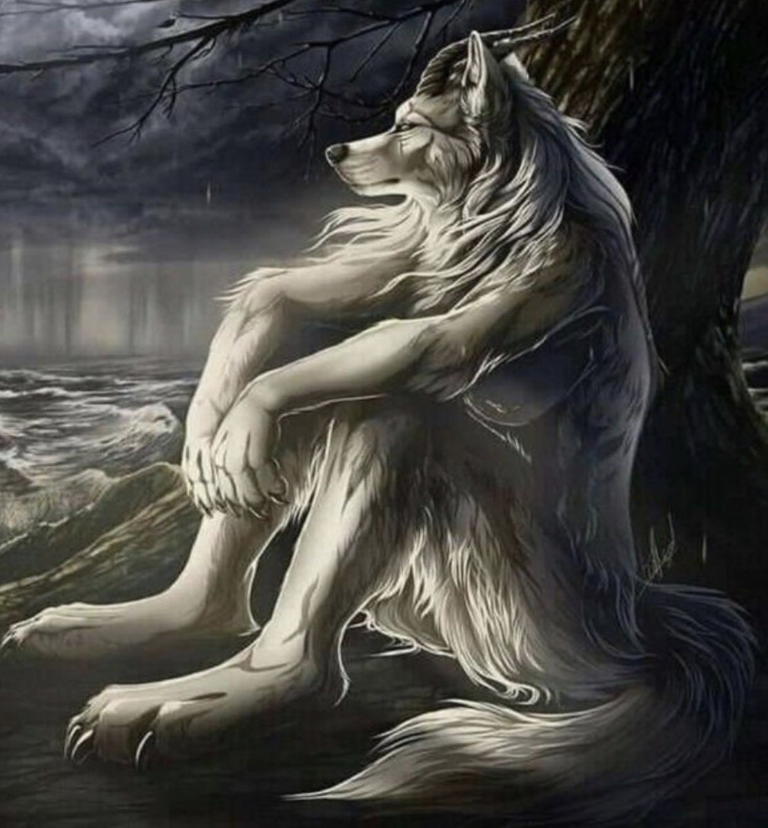 KoolCirby tweet media