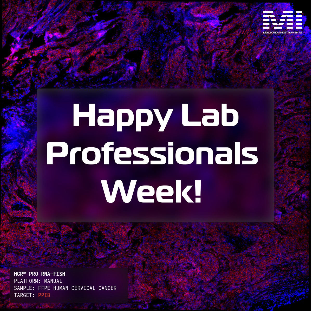 Molecular Instruments tweet media