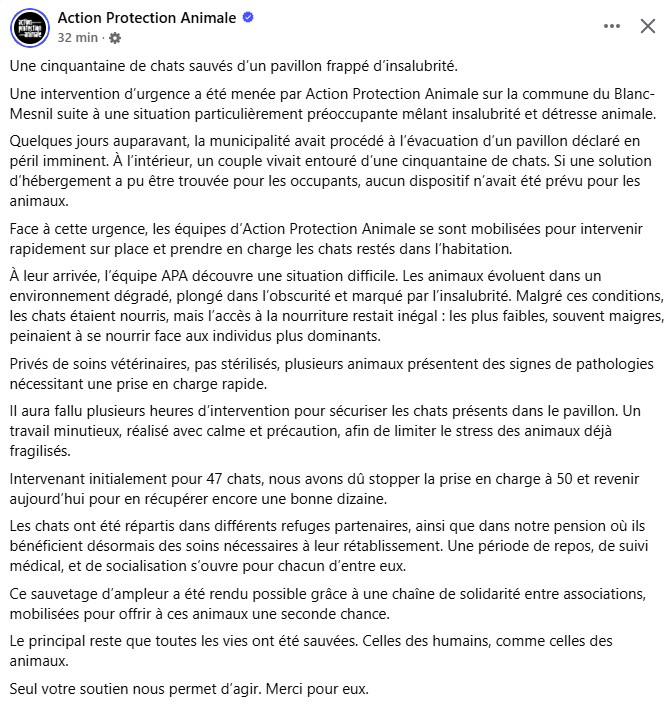 Missing Animaux 81 tweet media