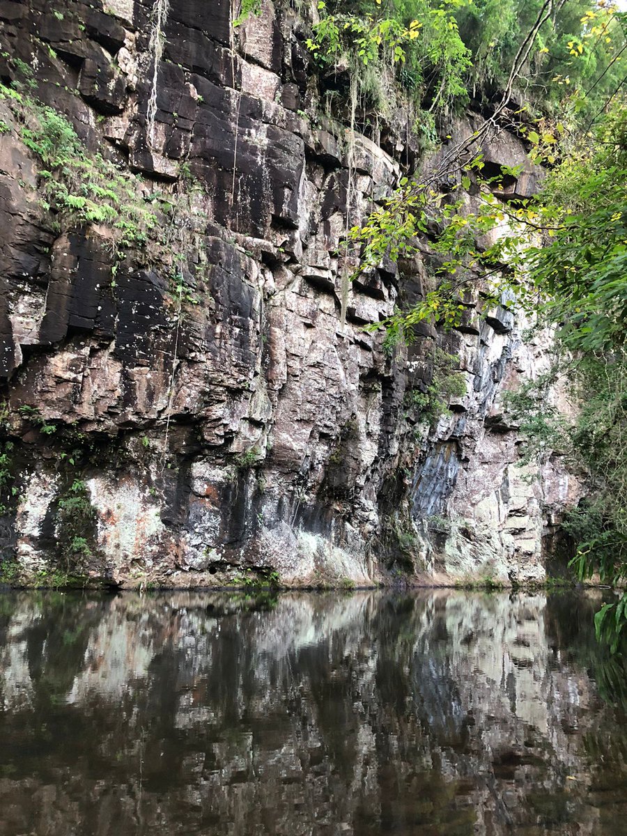 liverbuckley's tweet image. eii!!! happy #EARTHDAY 🌎🫂🧡