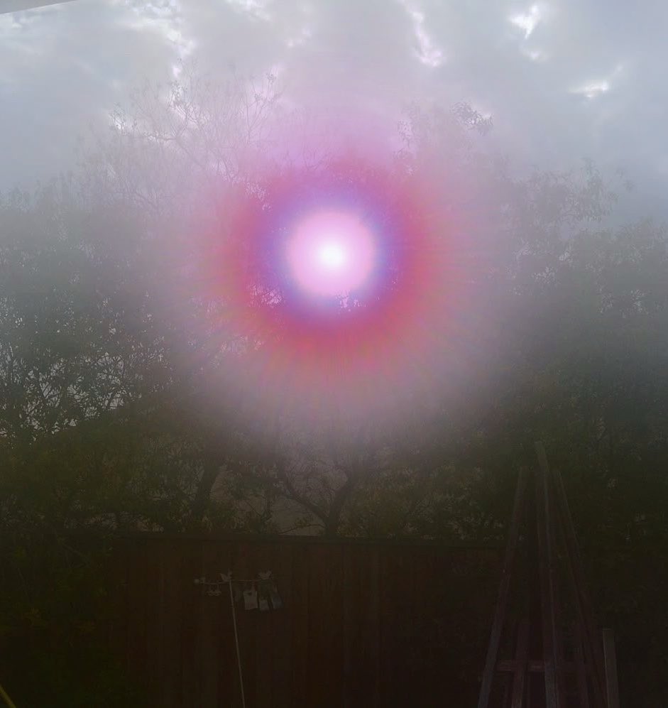 roro 🪽 tweet media