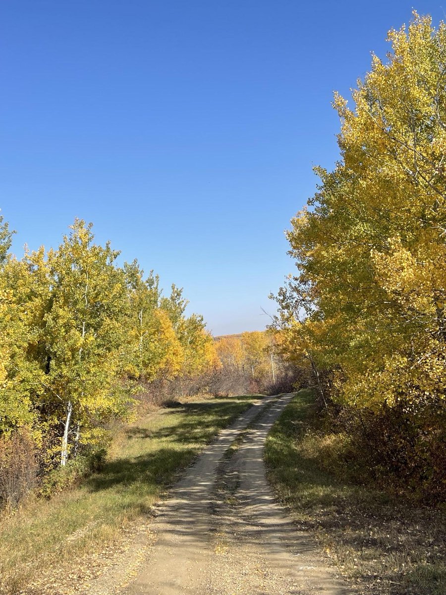 pewaseskwan's tweet image. Today (and every day) we celebrate and honour Mother Earth!
#EarthDay is a reminder to move more slowly. Don’t let convenience rob you of the simplest joys: savouring the taste of a good meal, watching a beautiful sunset or listening to early morning bird song.