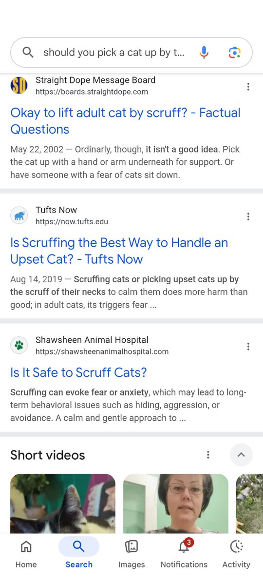 caramine tweet media