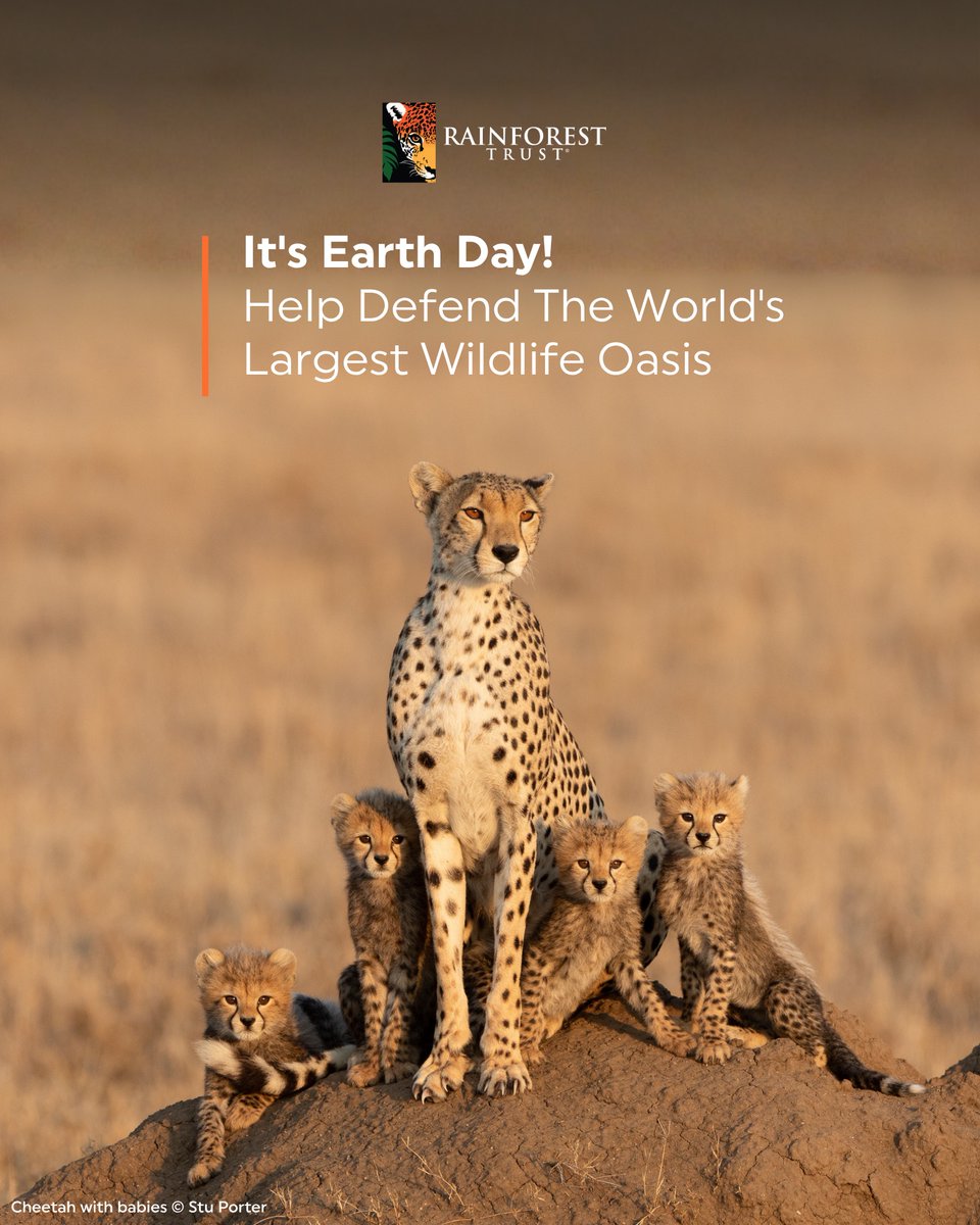 Rainforest Trust tweet media