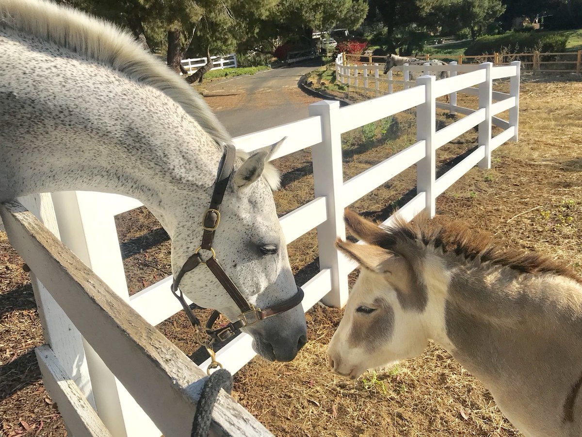 IndependentRed4's tweet image. Sometimes you just need to kiss a little ass
#WednesdayWisdom