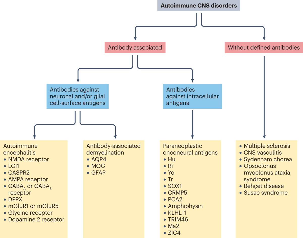 Dr sthanu subramanian tweet media