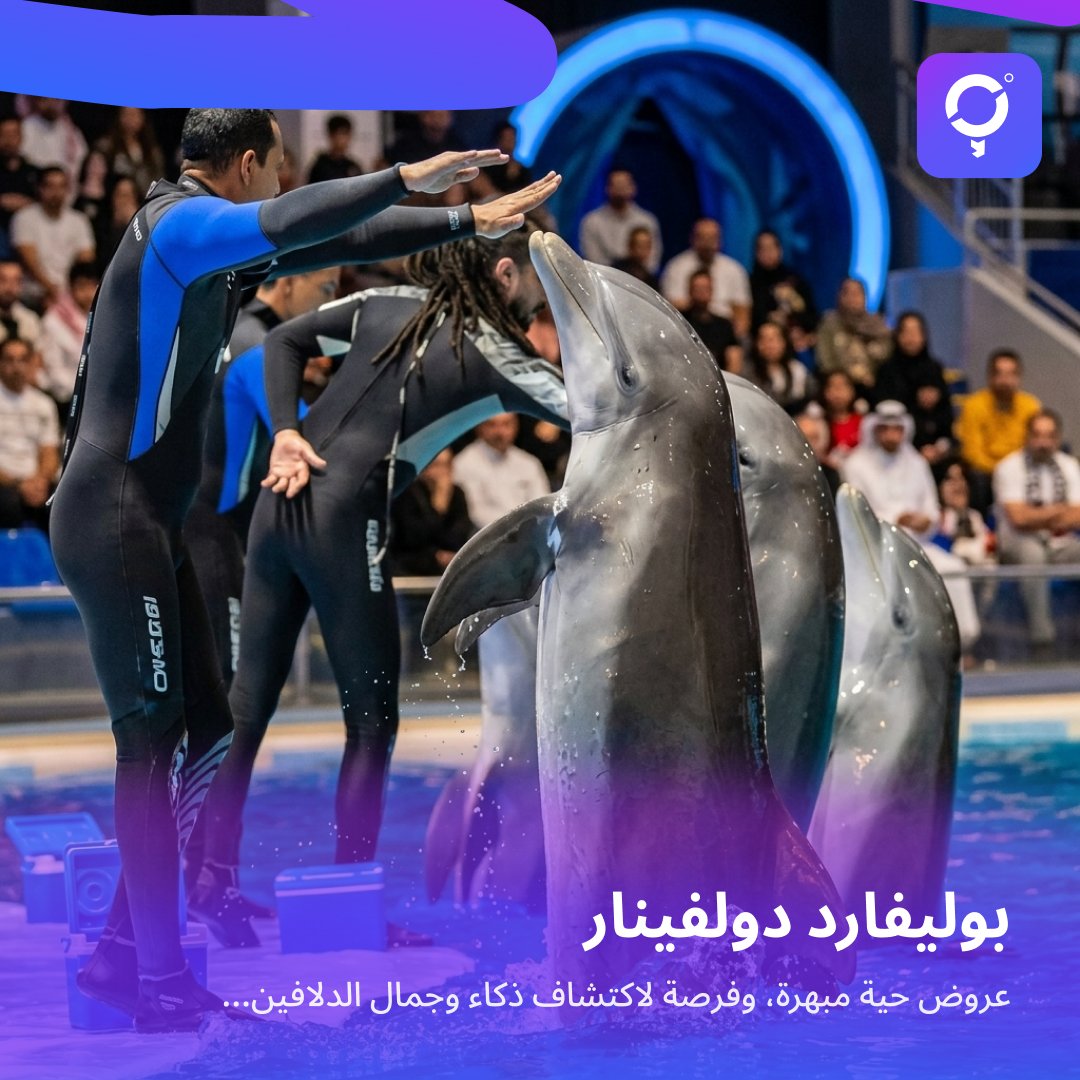 🌊 بوليفارد دولفيناريوم .. تجربة ما تتفوت في موسم الرياض

استعد لرحلة مدهشة إلى عالم البحار في بوليفارد دولفيناريوم، أحد أبرز الوجهات العائلية في بوليفارد وورلد 🐬✨

🎟️ ابتداءً من 65 ريال

#AroundMe #أراوند_مي #موسم_الرياض #بوليفارد_وورلد #فعاليات_الرياض #ترفيه #العائلة