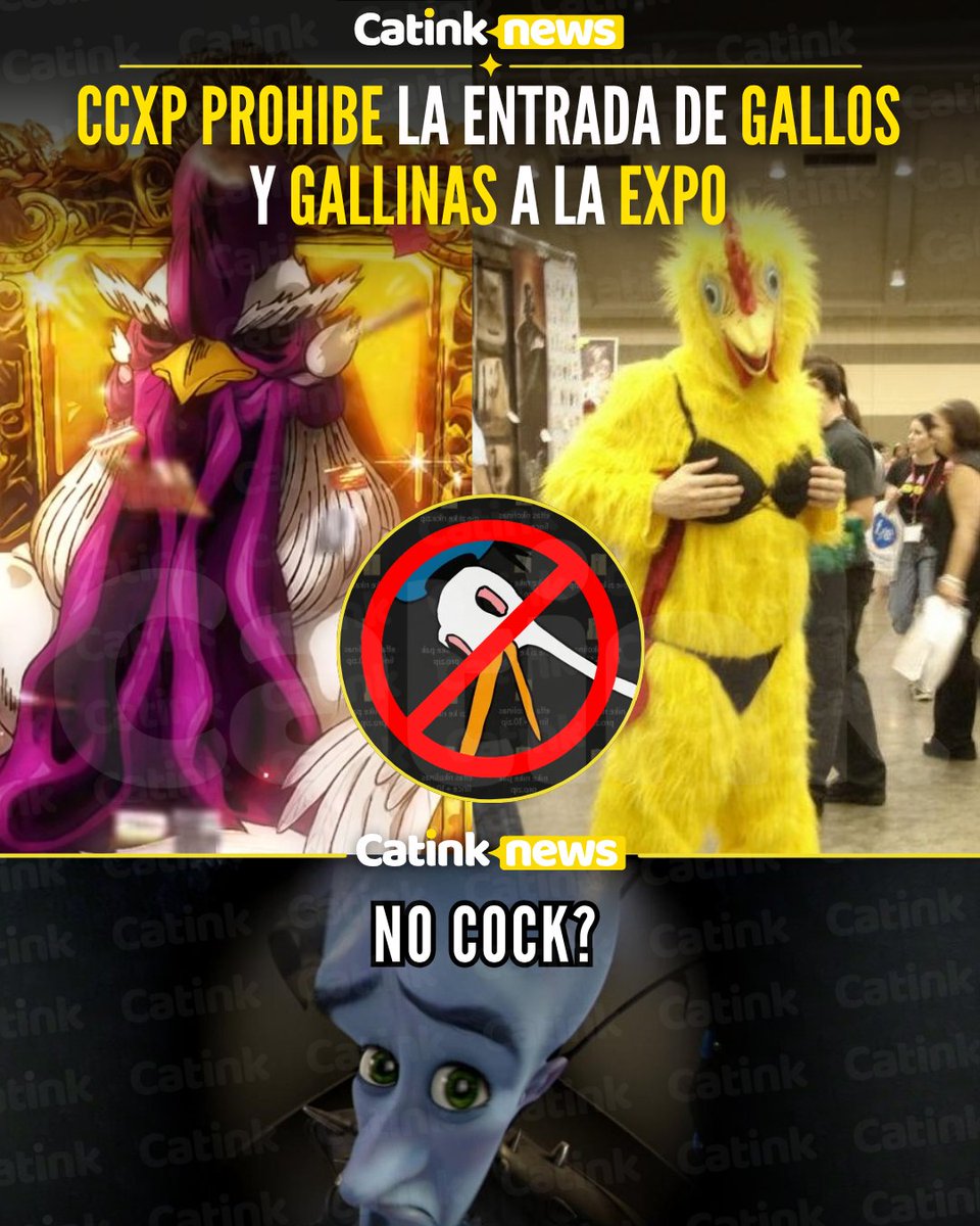The_Catink's tweet image. PROHIBIDO LLEVAR POLLAS, ¿QUÉ SIGUE PROHIBIR WAIFUS?

#gatobanda recientemente se confirmó que quedó prohibida la entrada de  #gallos al convivio de fans y no tan fans del manga de #RoosterFighter, el cuál será llevado a cabo en el próximo evento de la #CCXPMéxico los próximos