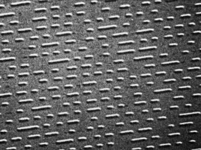 Sef Editrice tweet media