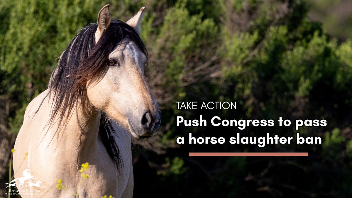 Steve Byk tweet media