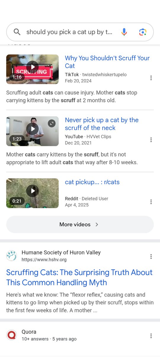 caramine tweet media