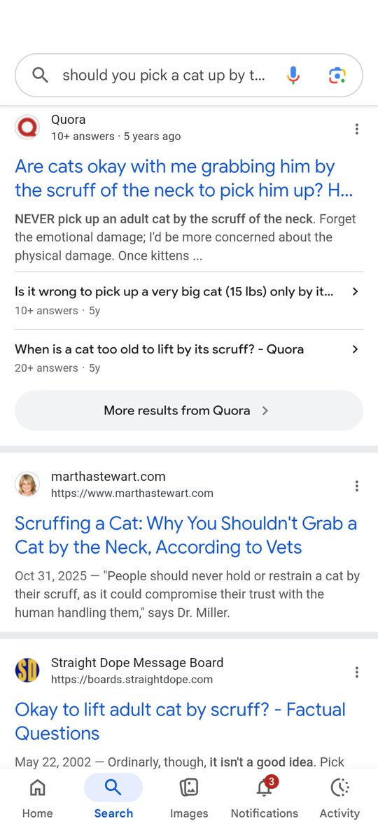 caramine tweet media