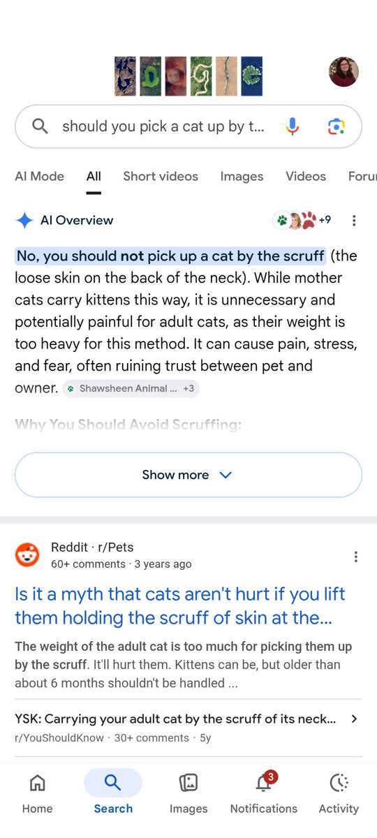 caramine tweet media