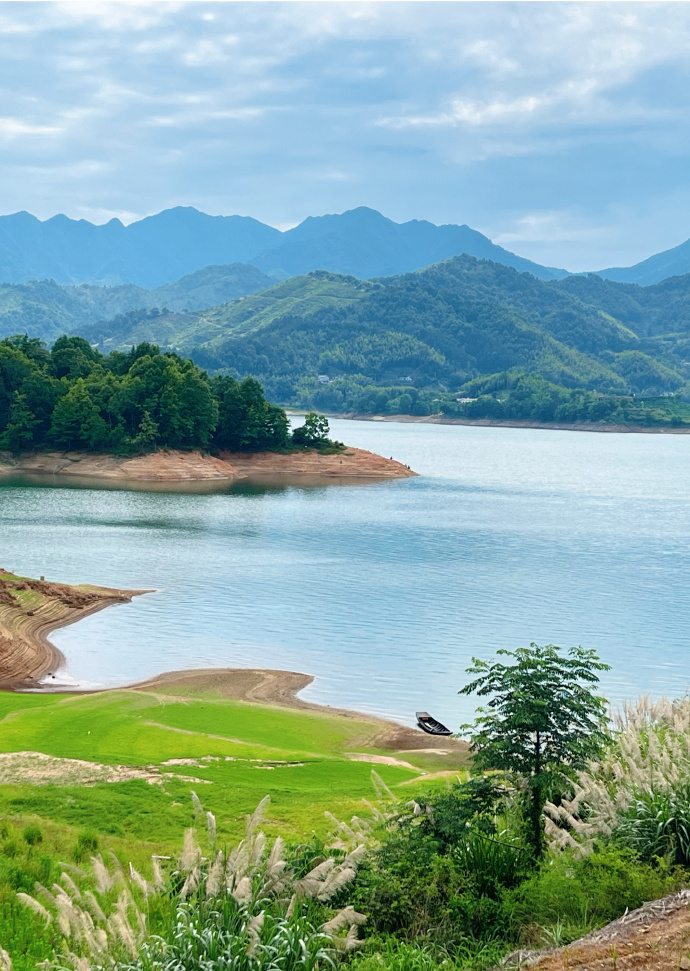 Alessandro tweet media