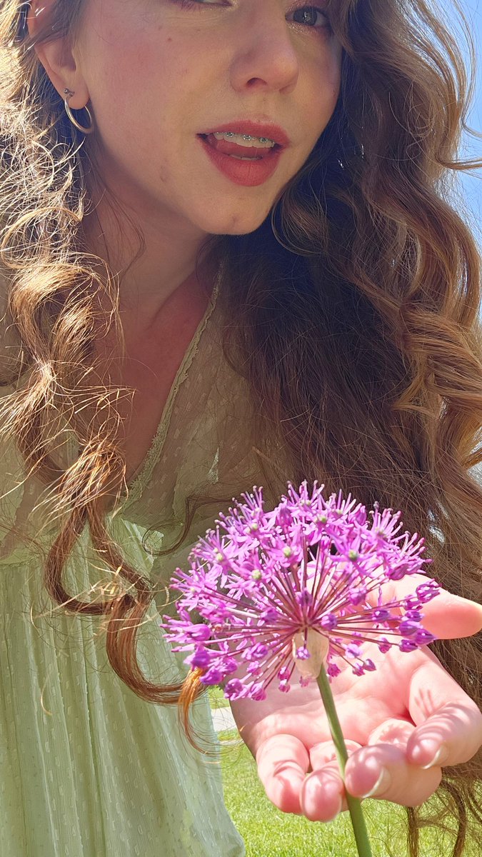 MandyFrizzle tweet media