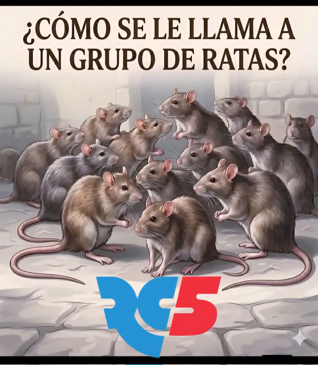 ElBatole18's tweet photo. @Expresoec https://t.co/nbwUUtG7GS